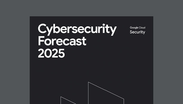 Artikel Cybersecurity Forecast 2025 Bild